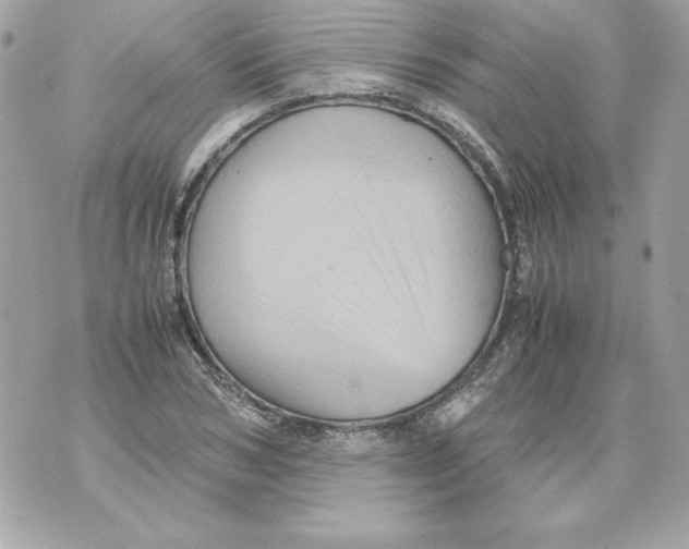 X0000070410978200607072305