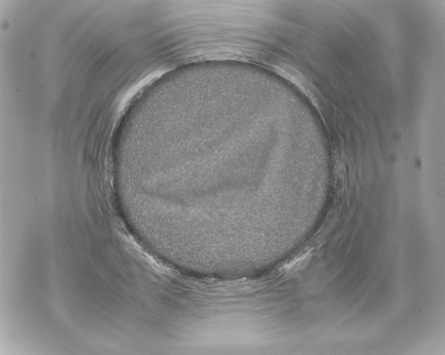 X0000070410979200607072305