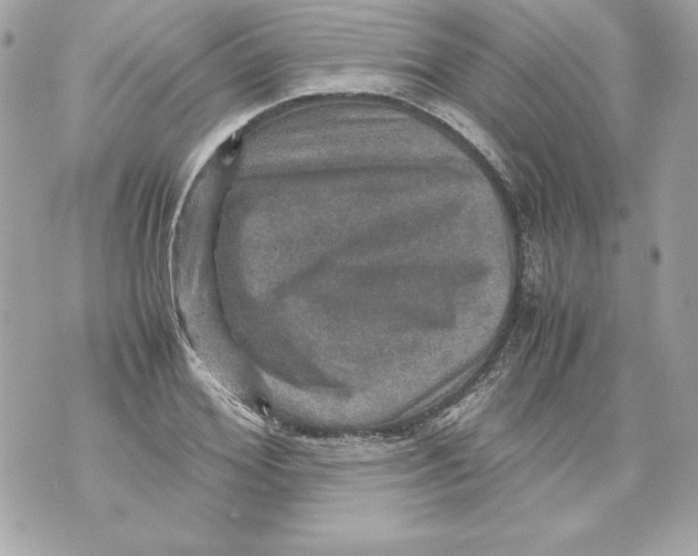 X0000070410980200607072305