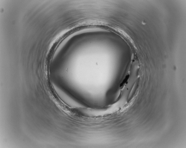 X0000070410981200607072305