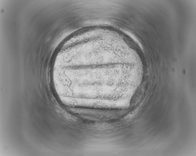 X0000070410983200607072305