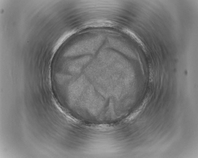 X0000070410986200607072305