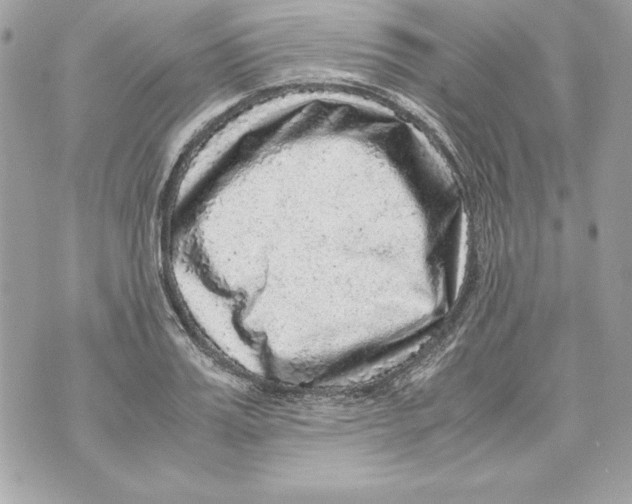 X0000070410987200607072305