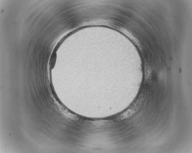 X0000070410988200607072305