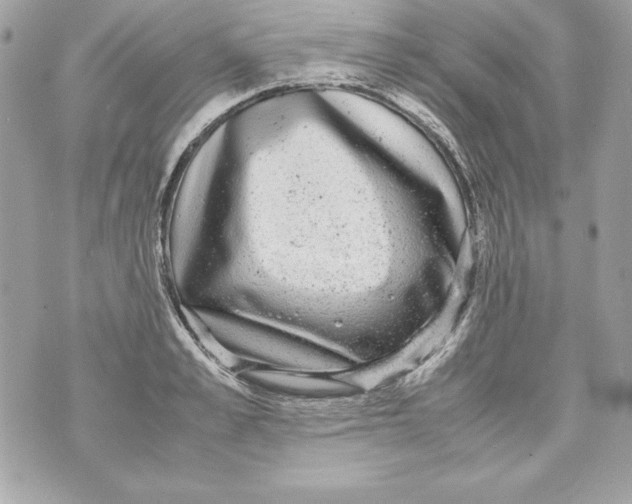 X0000070410989200607072305