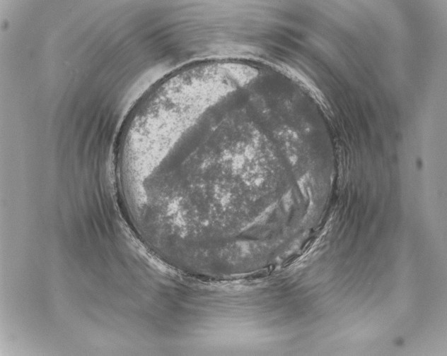 X0000070410990200607072305