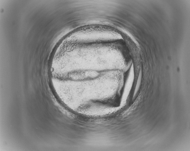 X0000070410991200607072304