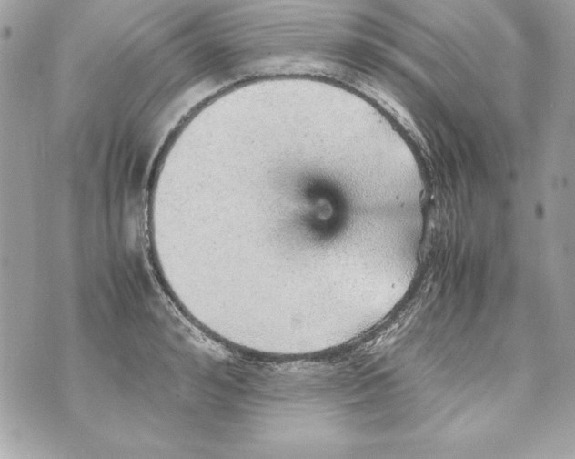 X0000070410992200607072304