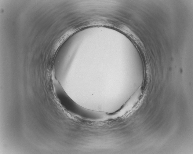 X0000070410993200607072304