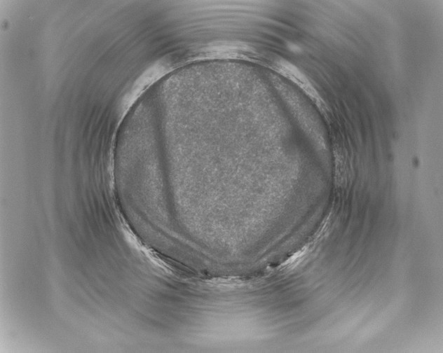 X0000070410994200607072304