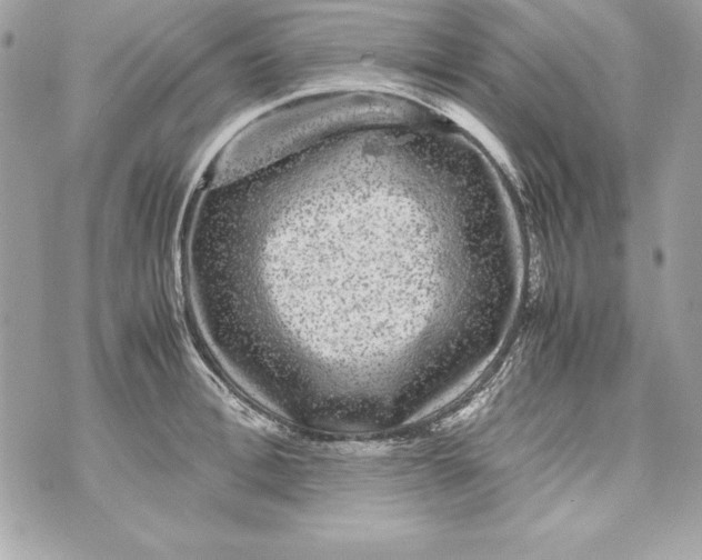 X0000070410996200607072304