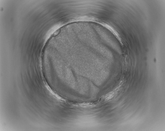 X0000070410998200607072304