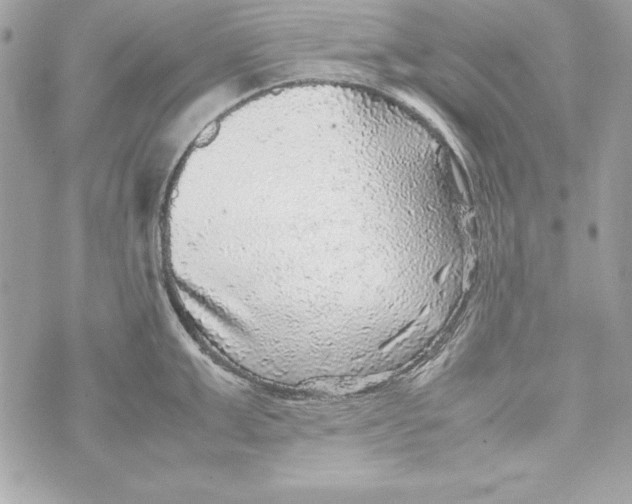 X0000070410999200607072304