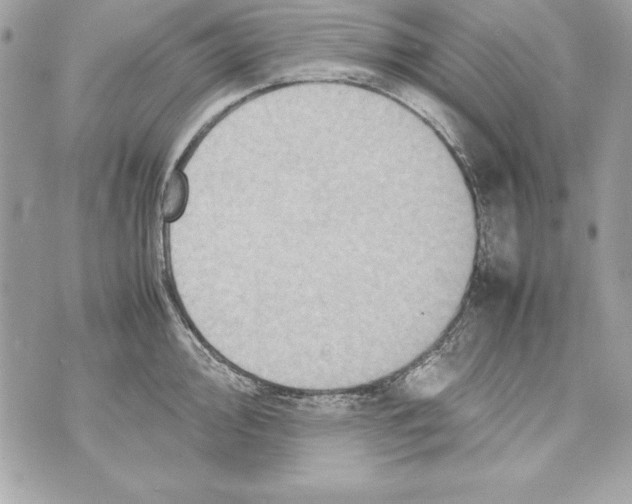 X0000070411000200607072304