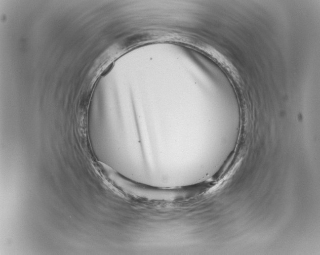 X0000070411001200607072304