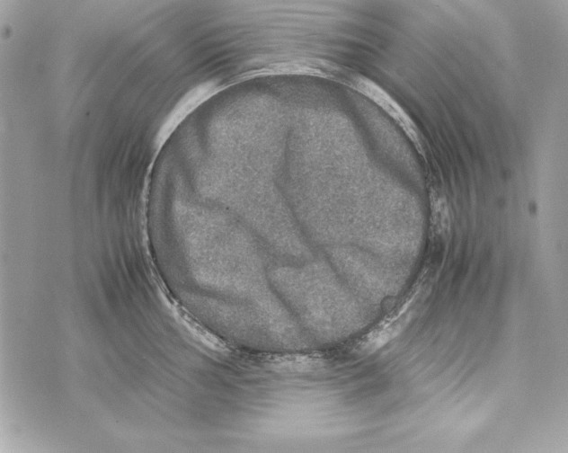 X0000070411002200607072304