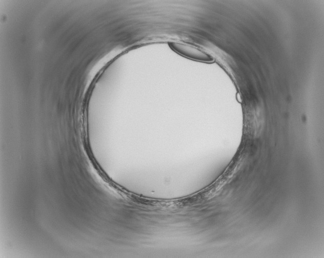 X0000070411003200607072304