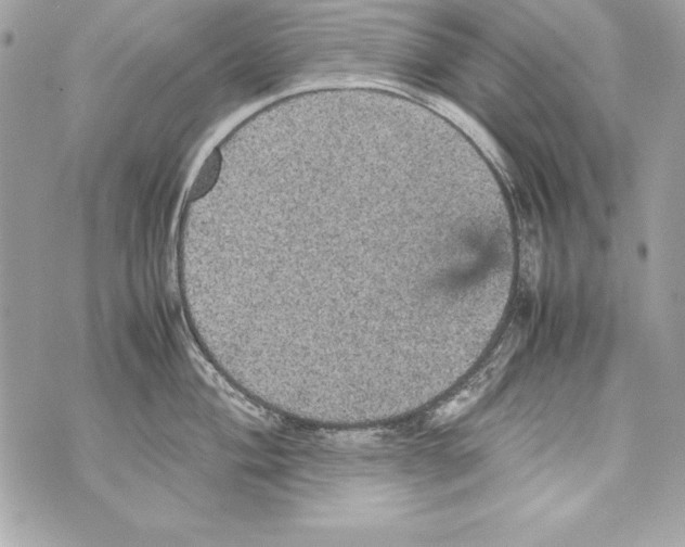 X0000070411004200607072304