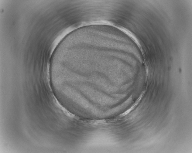 X0000070411006200607072304