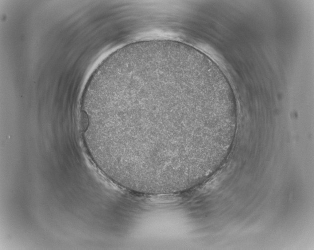 X0000070411008200607072304