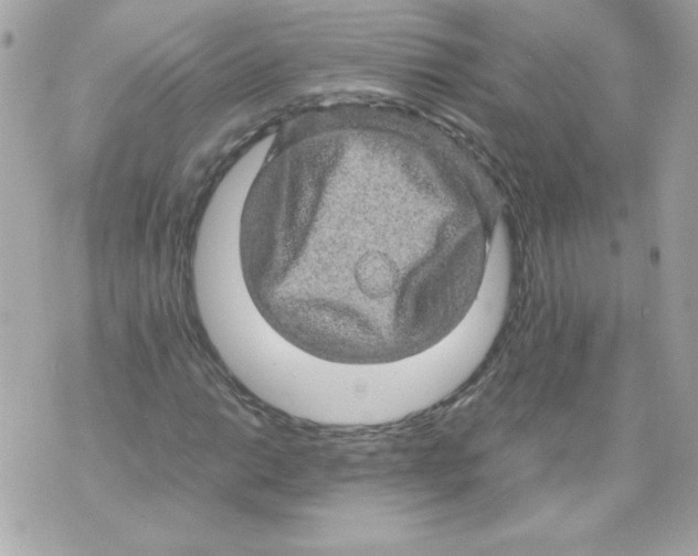 X0000070411014200607072304