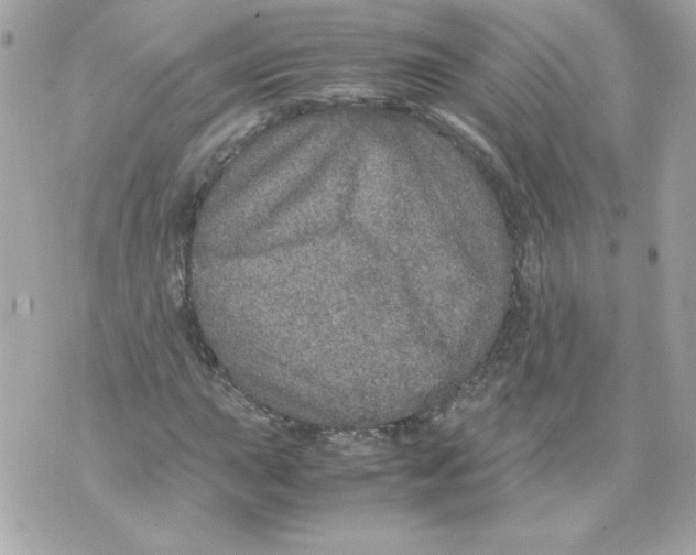 X0000070411015200607072304