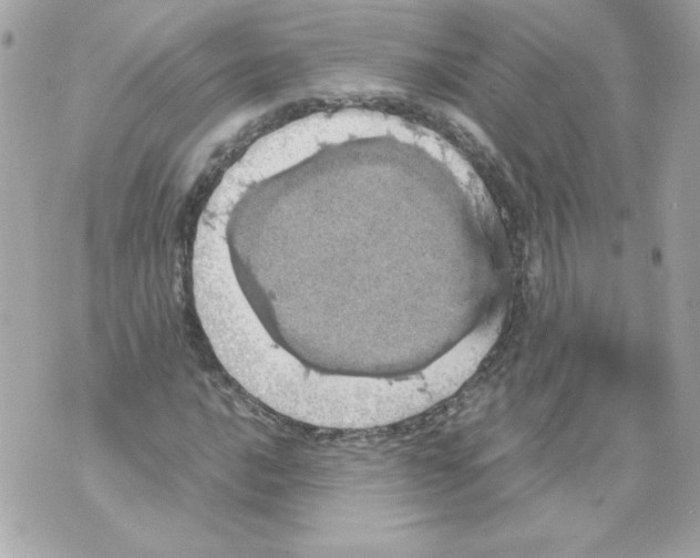 X0000070411016200607072304