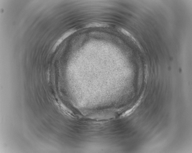 X0000070411017200607072304