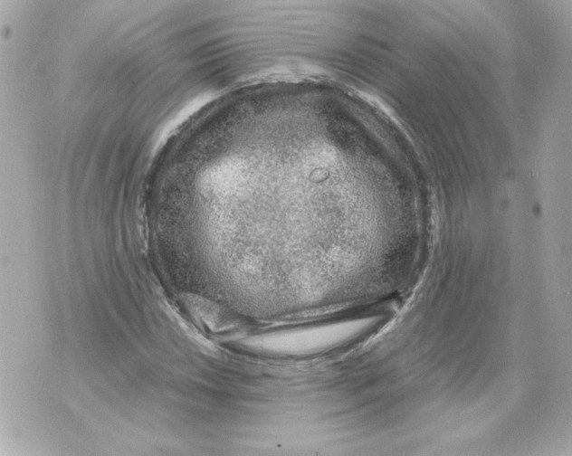 X0000070411018200607072304