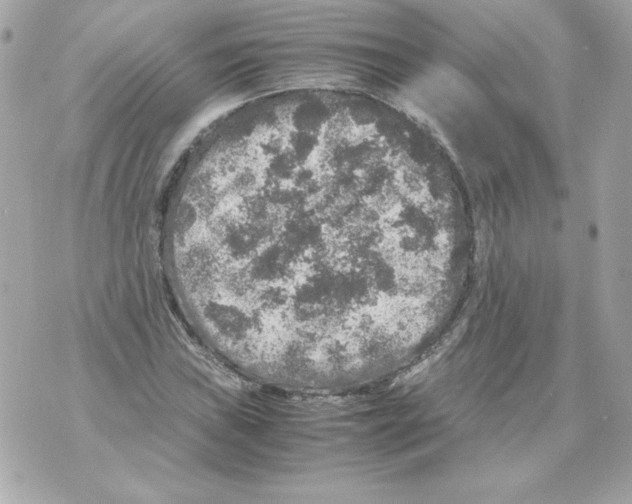 X0000070411019200607072304