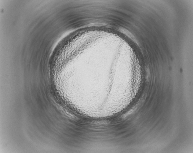 X0000070411021200607072304