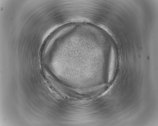 X0000070411022200607072304