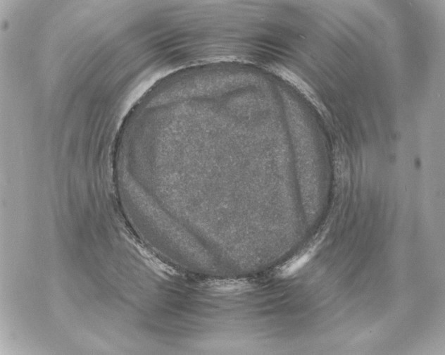 X0000070411023200607072304