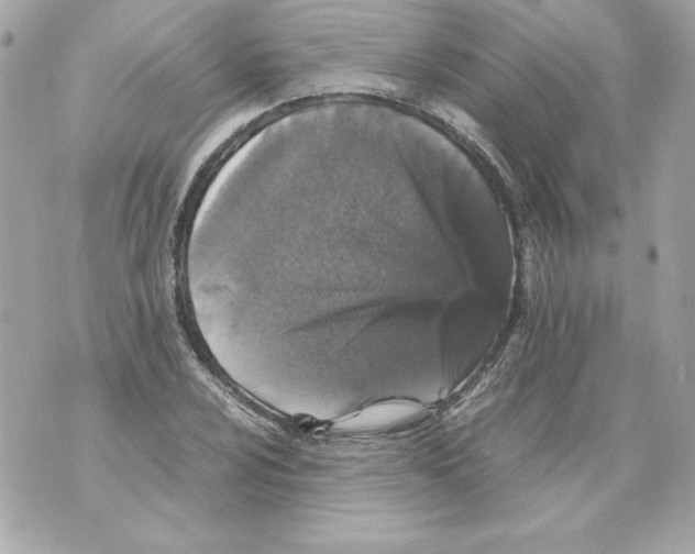 X0000070411024200607072304