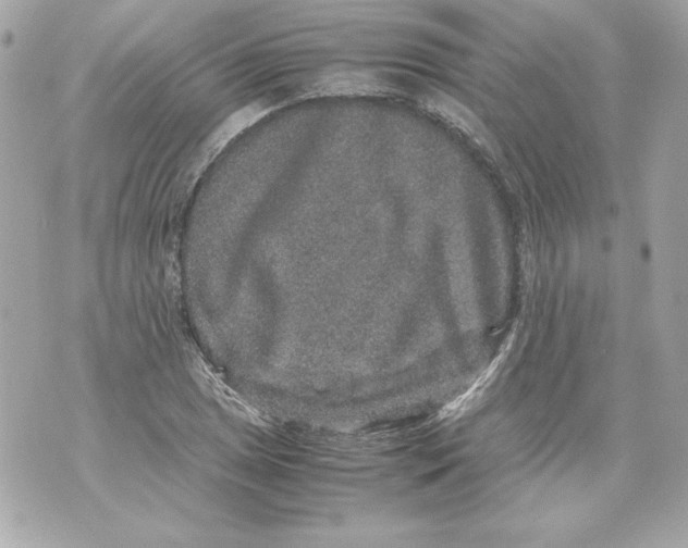 X0000070411025200607072304