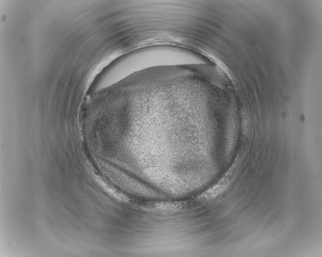 X0000070411026200607072304