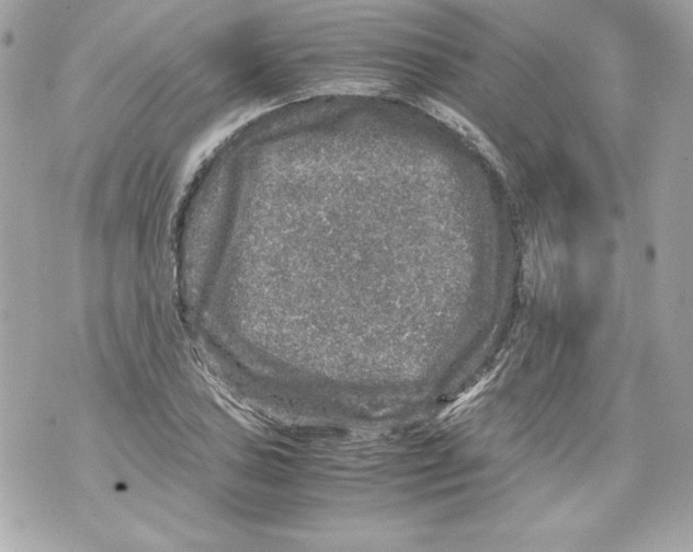 X0000070411027200607072304