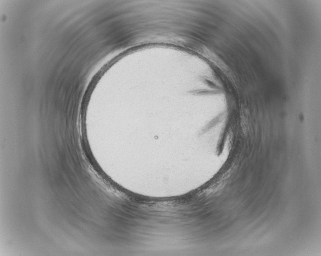 X0000070411028200607072304