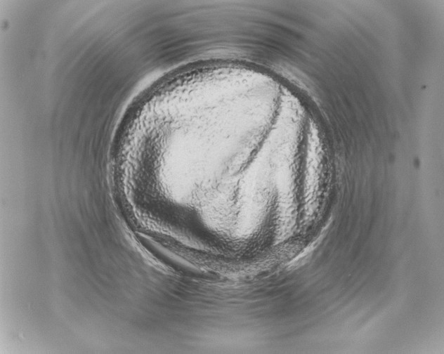 X0000070411029200607072304