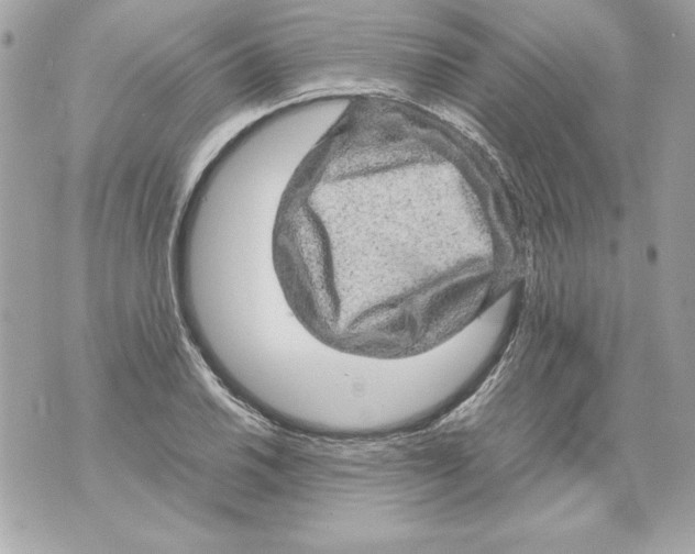 X0000070411030200607072304