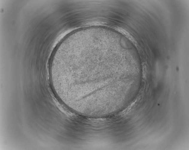 X0000070411031200607072304