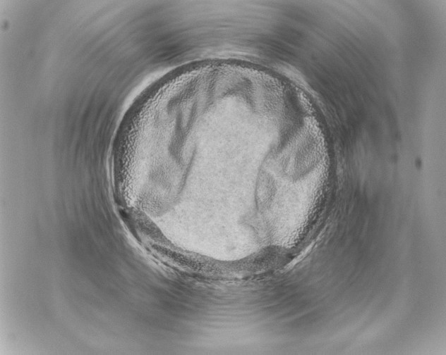 X0000070411032200607072304