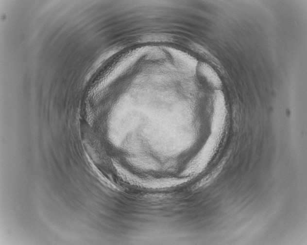 X0000070411033200607072304