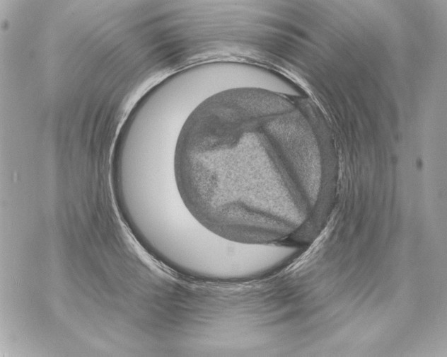 X0000070411034200607072304