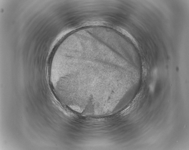 X0000070411035200607072304