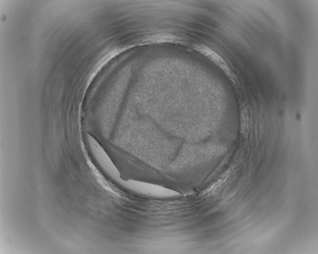 X0000070411039200607072304