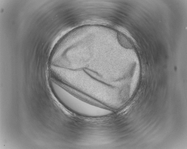 X0000070411040200607072304