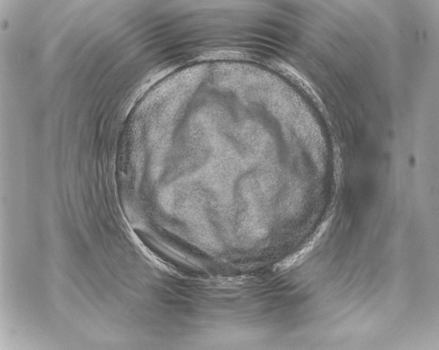 X0000070411041200607072304