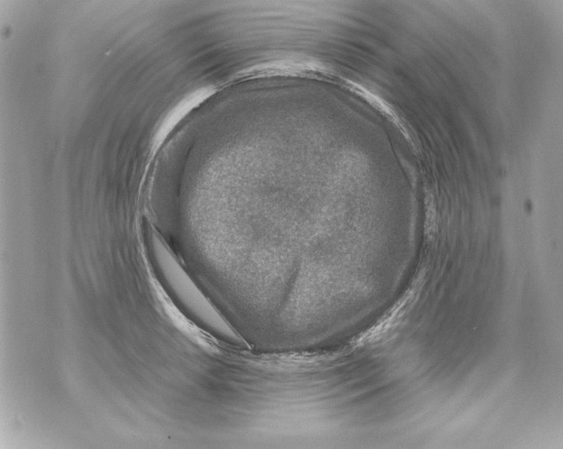 X0000070411042200607072304