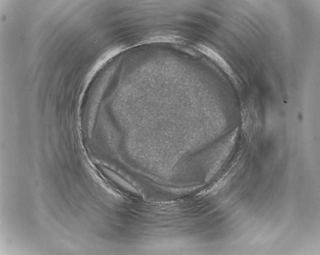 X0000070411043200607072304